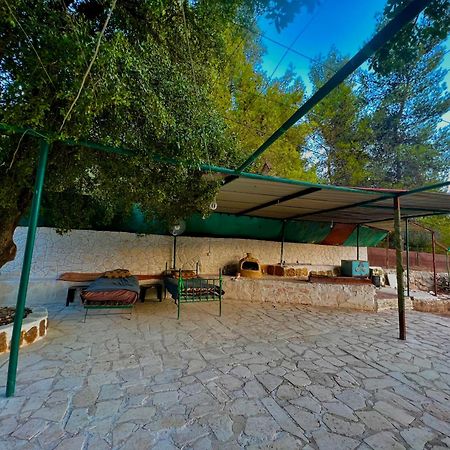 Oak Farm مزرعة الملّول Guest House ‘Ajlūn Екстериор снимка